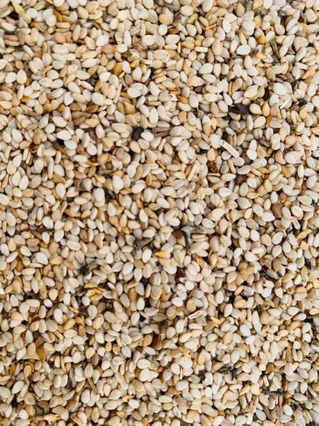 Sesame Seeds (White / Mixed Variety)