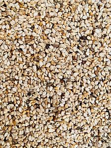 Sesame Seeds (White / Mixed Variety)