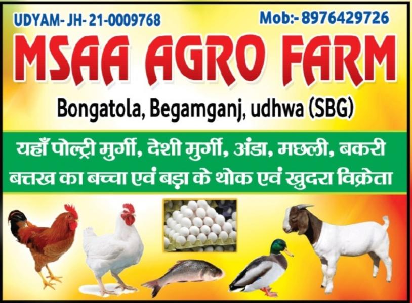 Deshi hens ducks and eggs