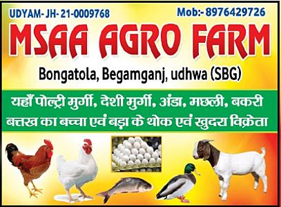 Deshi hens ducks and eggs