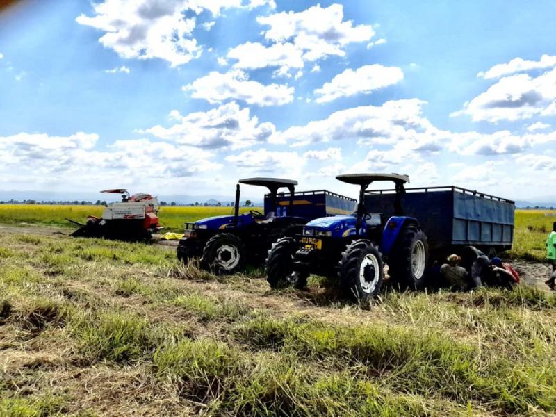 FRESH MAIZE/ NICE COFFEE