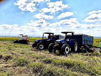FRESH MAIZE/ NICE COFFEE
