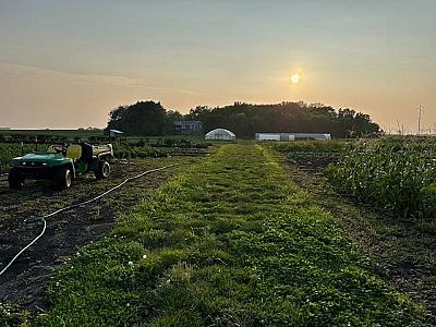 Banana, basil plant, tomatoes, carrots, cucumber,pear etc