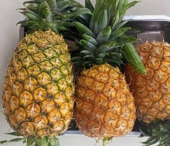 Fresh Pineapple $118 per Ton