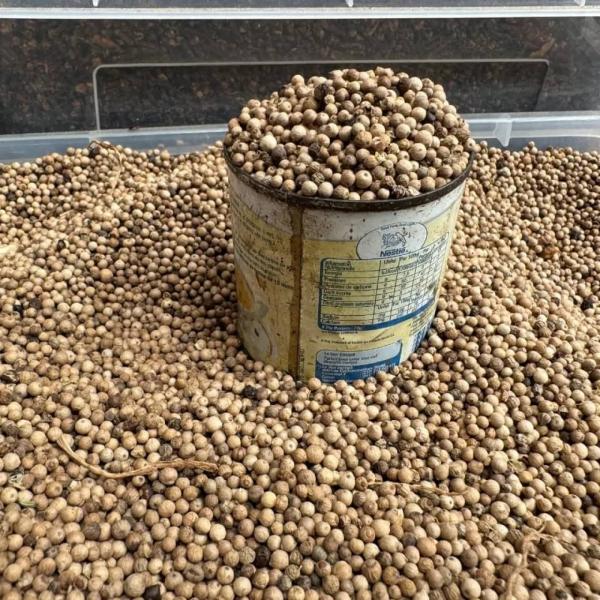 White pepper and  black pepper