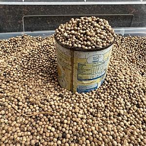 White pepper and  black pepper