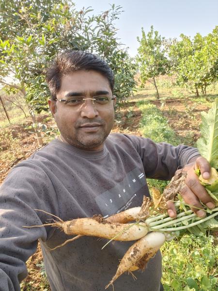 Organic Turmeric, Arhar dal, Rice, Mango fruit