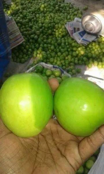 Fresh Thia apple ber