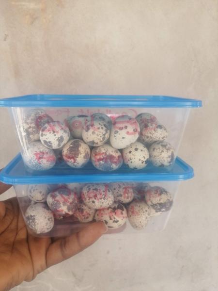 Quail eggs