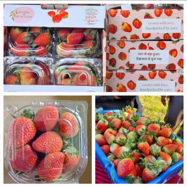 Organic, packed with love