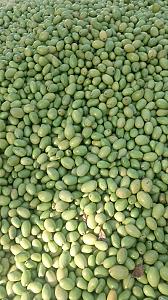 Fresh And Organic jujube.....