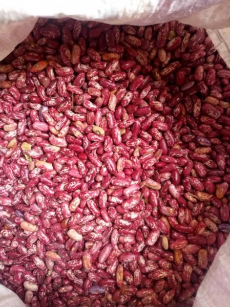 New Rosecoco Beans