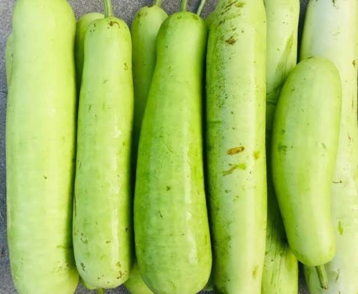 Bottle Gourd