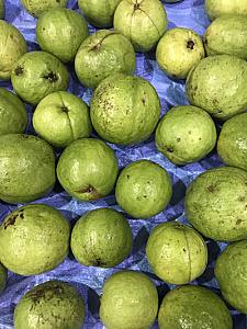 Fresh Guava