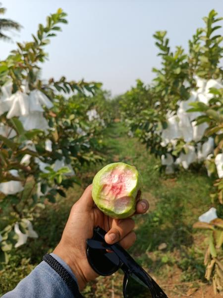 We all love it when it's pink 🩷