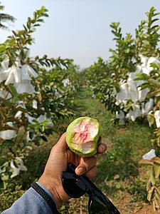 We all love it when it's pink 🩷