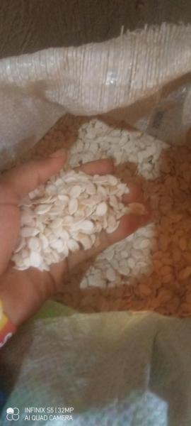 Melon Seeds
