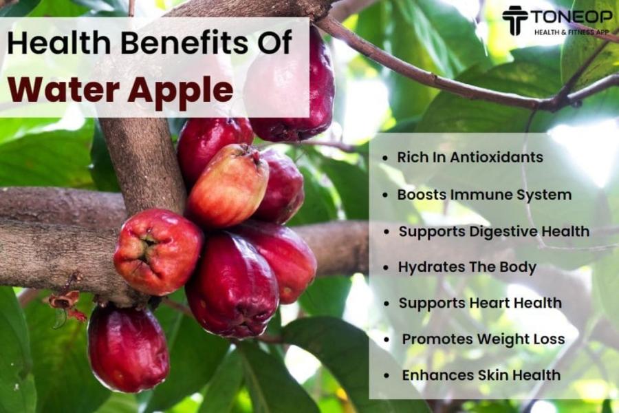 Healthy and tasty water apple