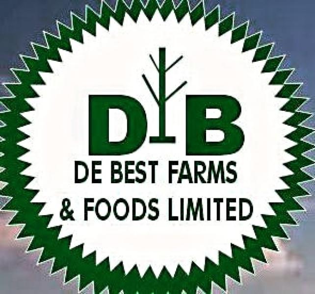 Charcoal, crop foods, poultry Farming, livestock Farming, fish farming, and beverages Production