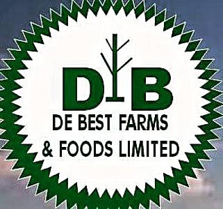 Charcoal, crop foods, poultry Farming, livestock Farming, fish farming, and beverages Production