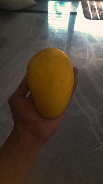 Delicious organic mangoes
