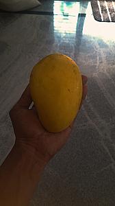 Delicious organic mangoes