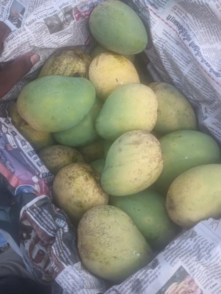 Mango 70/kg