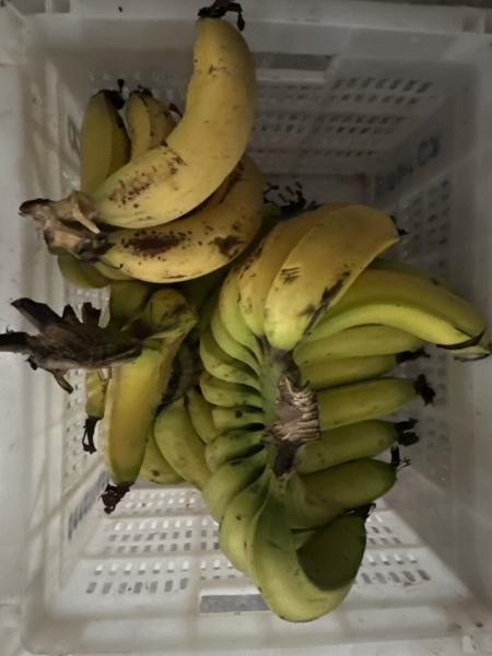 Banana
