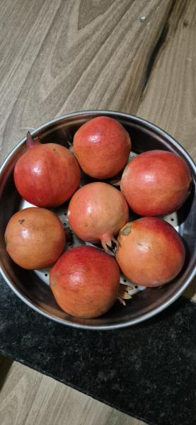 Pomegranate