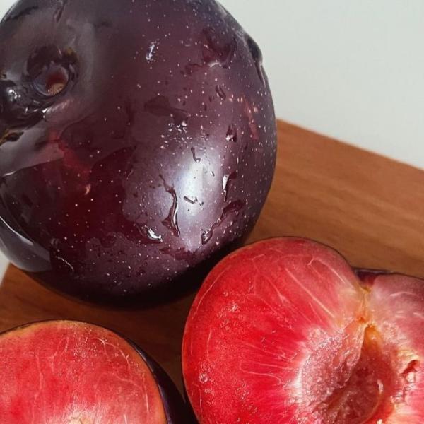 Pre-Order freshly picked Plums before harvest
