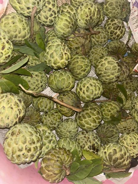 Custard apple