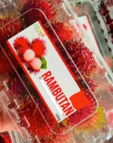 Farm fresh rambutan
