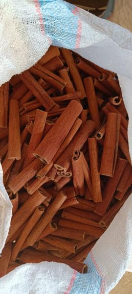 Cinnamon