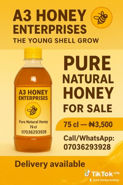 A3 honey enterprises pure honey