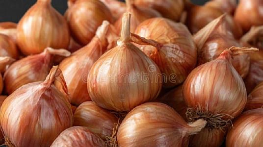 Onion