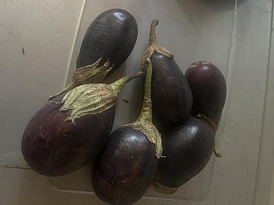 Eggplants(biriganyas)