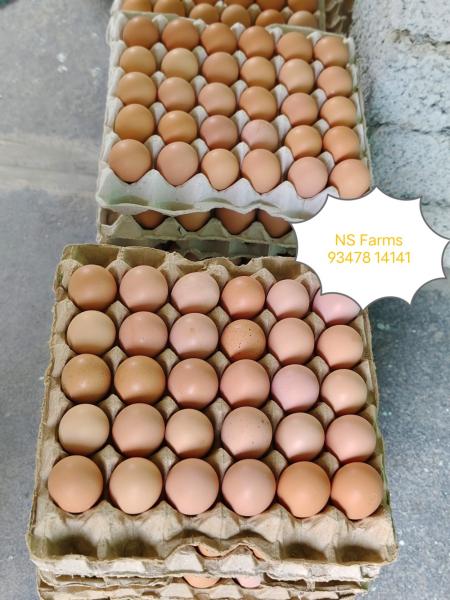 Brown Eggs