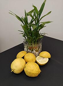 Organic Thai Lemon