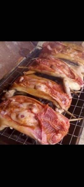 Fresh Rabbit meat/ well seasoned and tasty