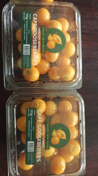 Fresh Cape Gooseberries