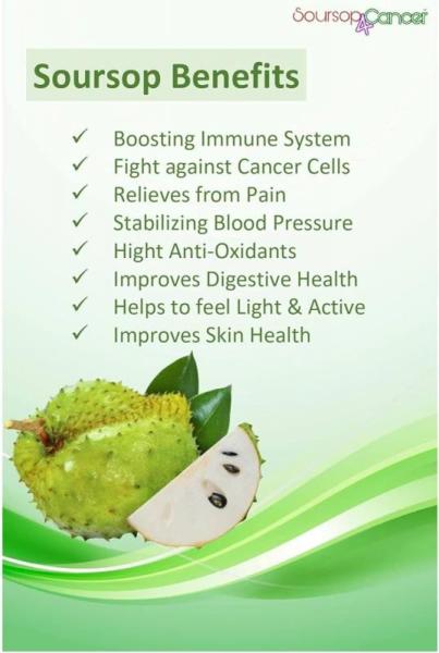 Soursop