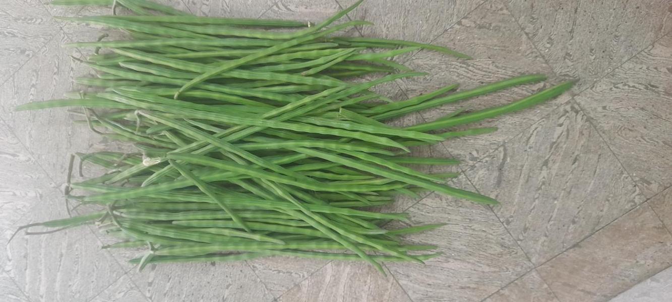 Drumstick vegetables