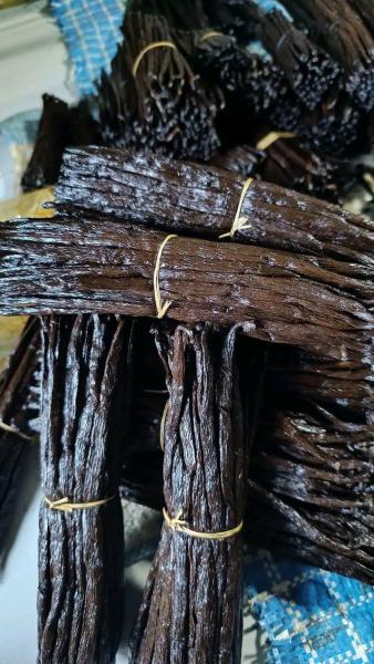 Organic vanilla pods