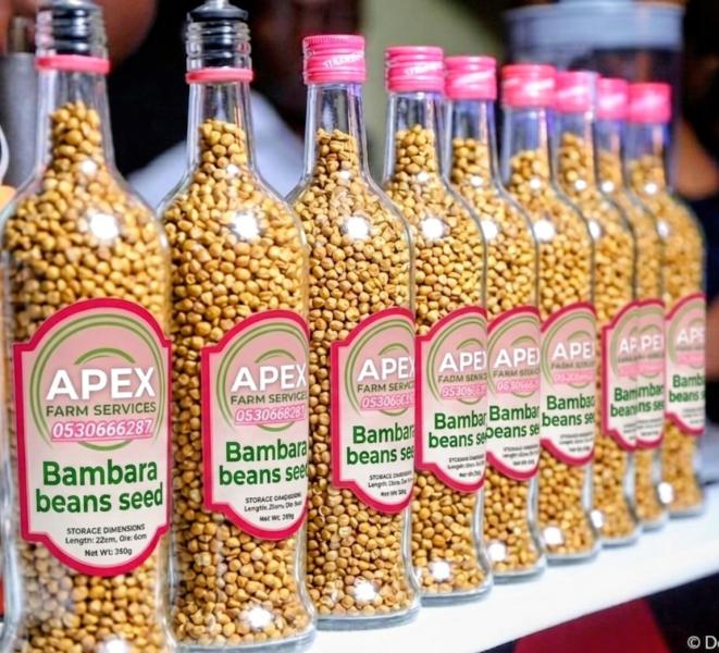 STRONG BAMBARA NUTS SEEDS