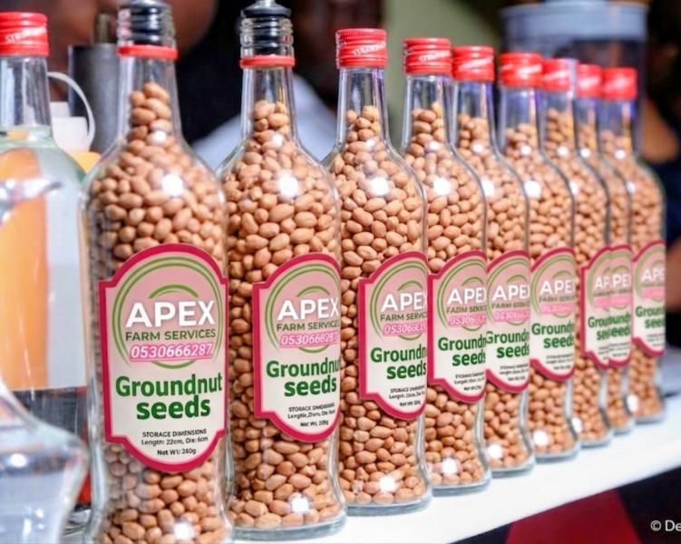 The world's Best Groundnut seeds available
