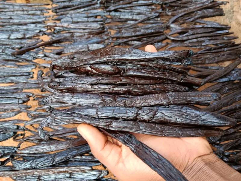 FB_IMG_17735078778861861