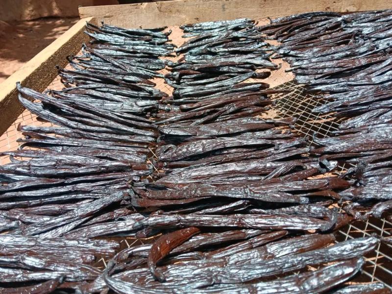 FB_IMG_17735078730486902