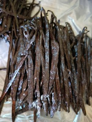 PRIDE VANILLA EXPORTS UG