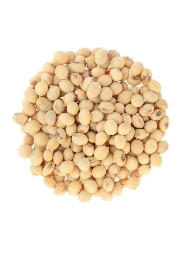 Buy Organic Soybeans