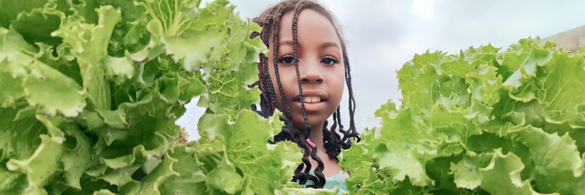 Port Harcourt Vegetable Farmer
